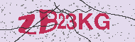 Codice captcha